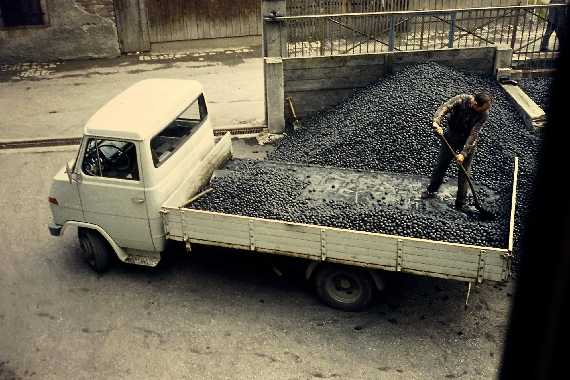 Ein Mitarbeiter verlädt Kohlen von Hand auf einem weißen Pritschenwagen
